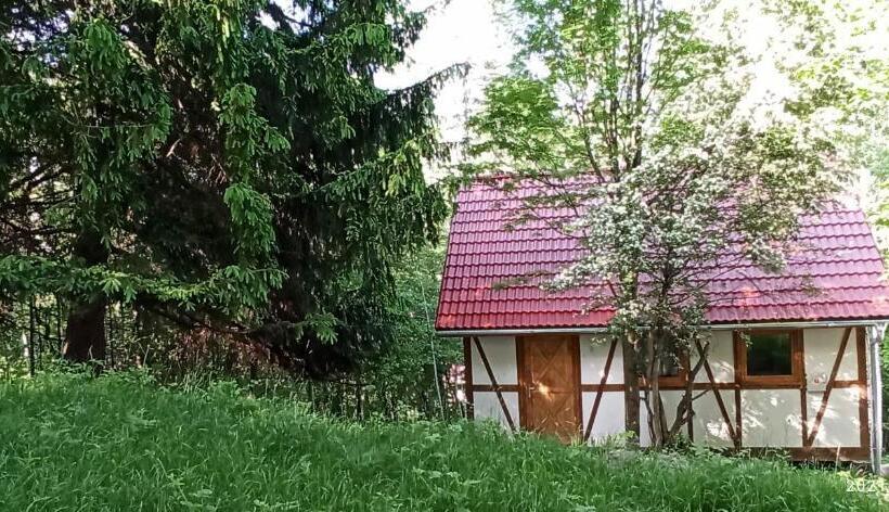 شاليه غرفة نوم واحدة, Dom Na Końcu świata