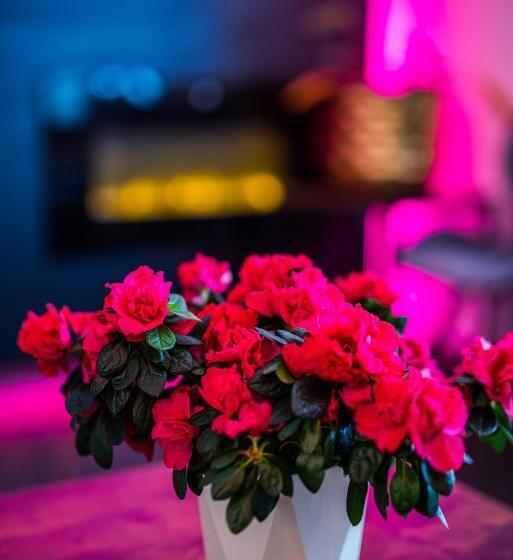 סטודיו סופריור, Glamour   Restaurant & Spa