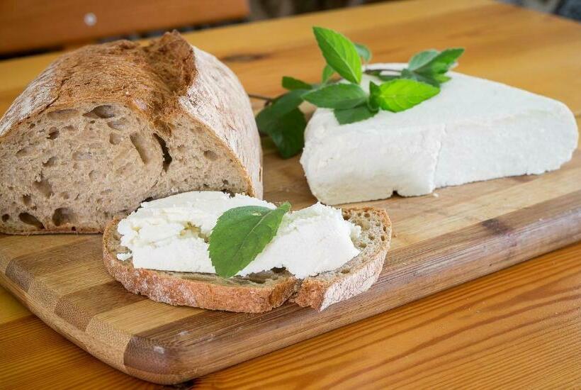 Четырехместный Номер Стандарт, Ranczo U Jana