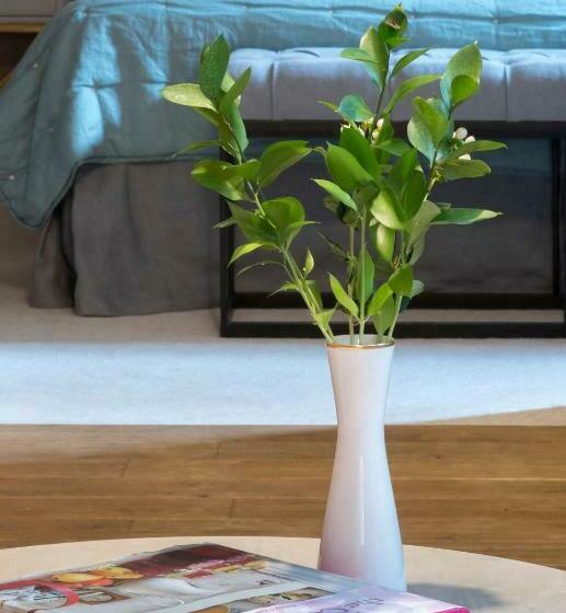 套房, Zamek Sarny Schloss Scharfeneck