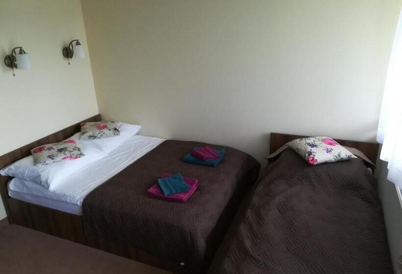 スタンダードルーム, Willa Rembisz