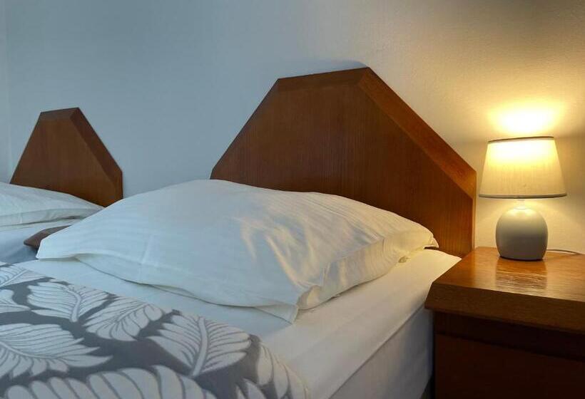 Номер Стандарт, Pensjonat Południe