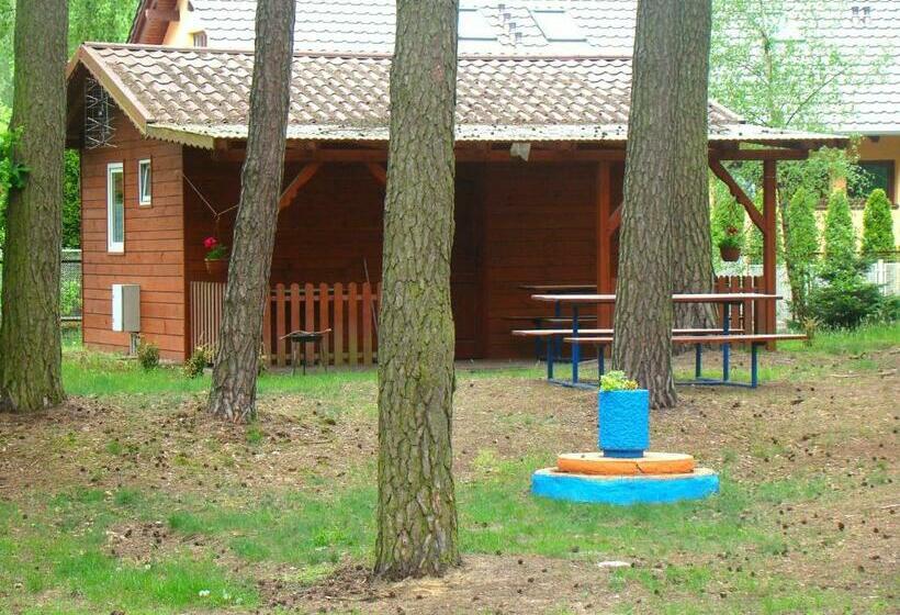 شاليه غرفة نوم واحدة, Ośrodek Wypoczynkowy Oaza