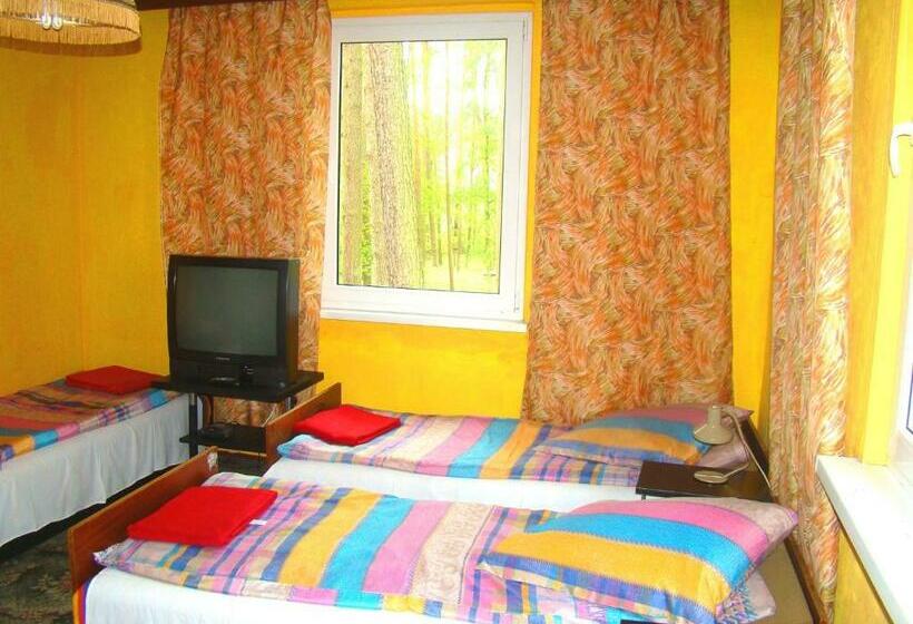 غرفة قياسية رباعية, Ośrodek Wypoczynkowy Oaza