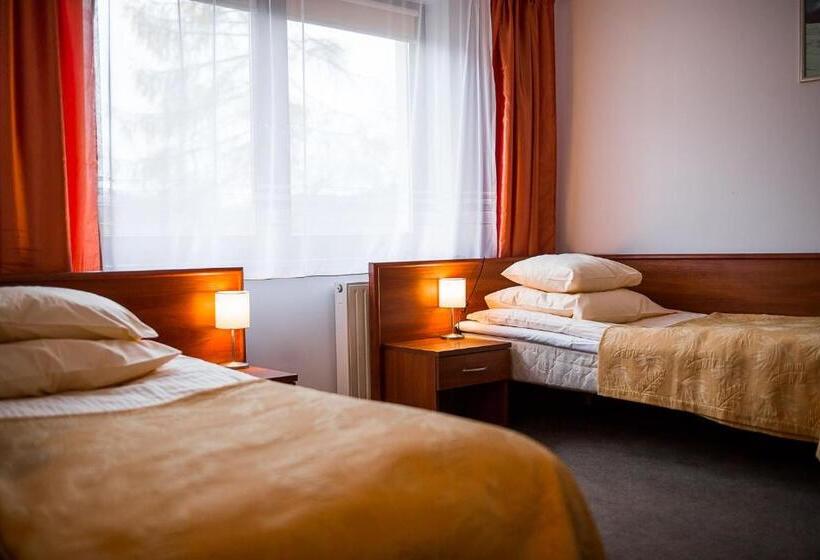 غرفة قياسية لذوى الاحتياجات الخاصة, Wołosań B&b