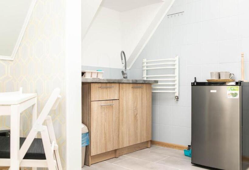 Standard studio with lake view, Zajazd Bombonierka