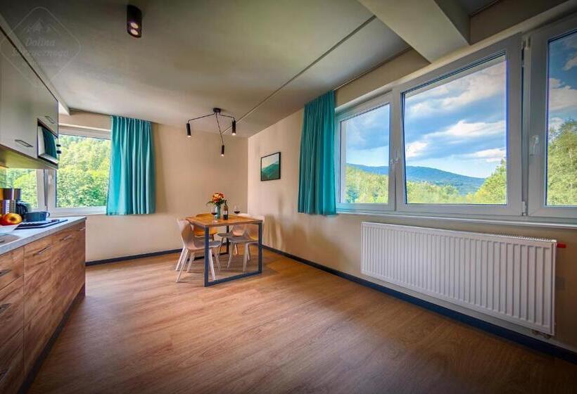 آپارتمان دوبلکس 1 خوابه, Apartamenty Dolina Skrzycznego