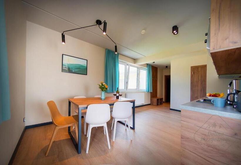 Апартаменты Дюплекс 1 Спальня, Apartamenty Dolina Skrzycznego