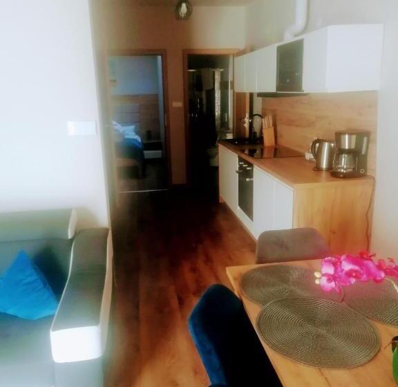 침실 1개 전망 아파트, Apartamenty Pruskie