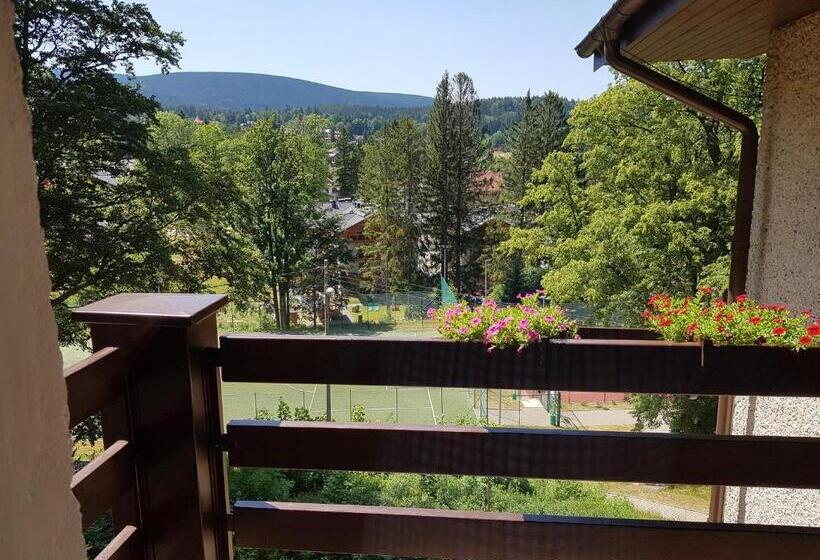 バルコニー付きスタンダードルーム, Dom Wczasowy Przy Skałkach