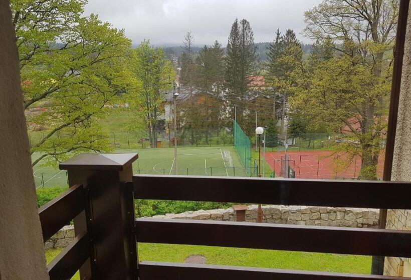 バルコニー付きデラックスルーム, Dom Wczasowy Przy Skałkach