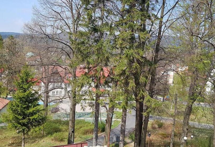 マウンテンビュースタンダードルーム, Dom Wczasowy Przy Skałkach