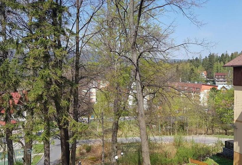 スタンダードシングルルーム, Dom Wczasowy Przy Skałkach