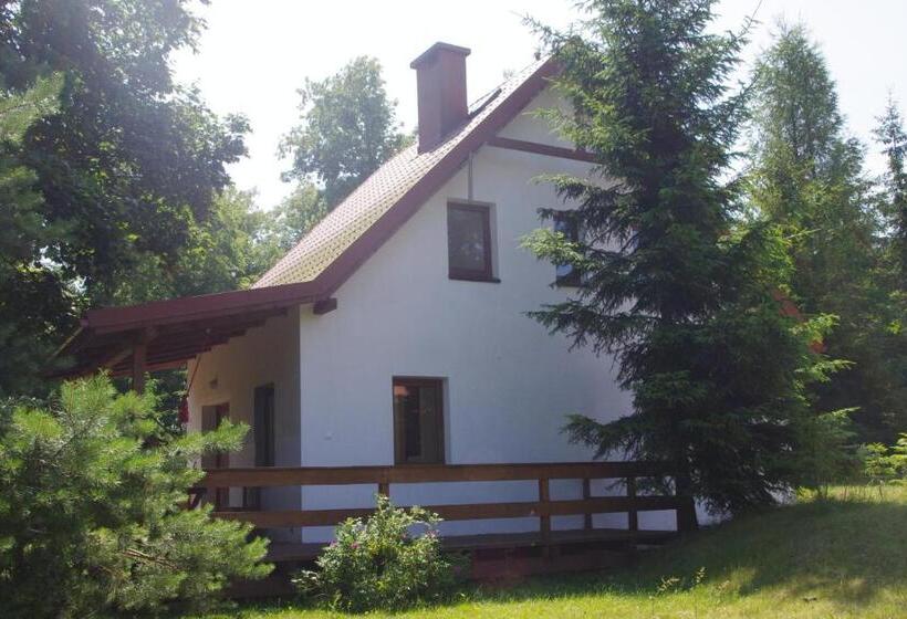 בקתה סטנדרטית, Gosciniec Wydminy