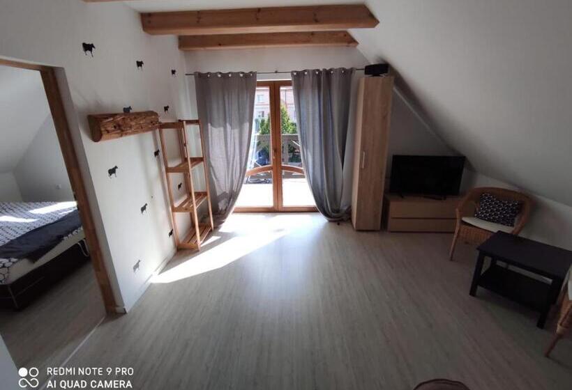 חדר משפחתי, Gosciniec Wydminy