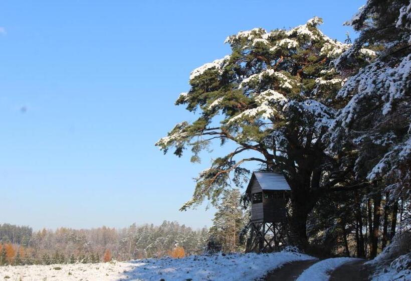 וילה דלוקס חדר שינה 1, Oaza Mazurska   Willa Lasek