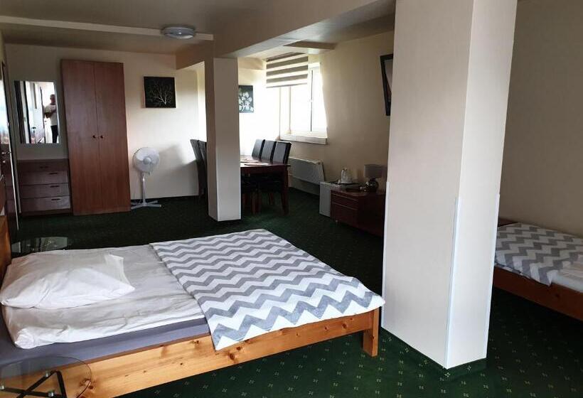 סטודיו סטנדרט עם מרפסת, Pensjonat Markus