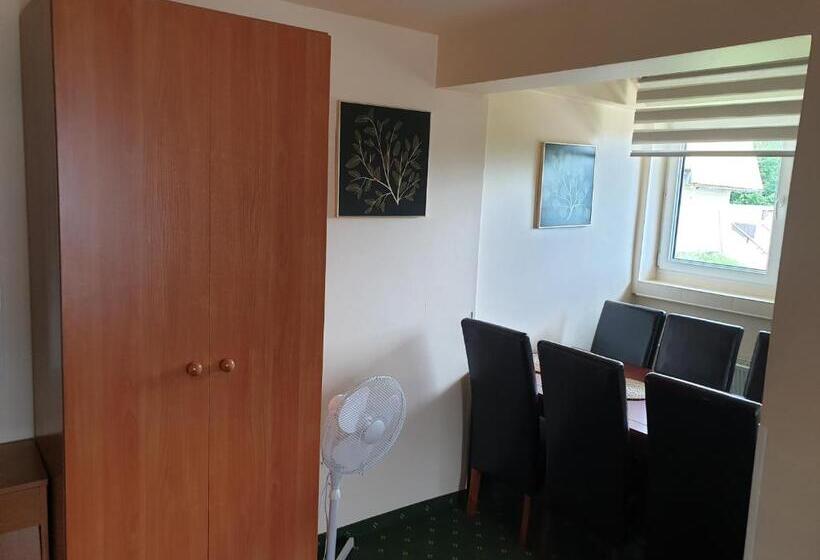 סטודיו סטנדרט עם מרפסת, Pensjonat Markus