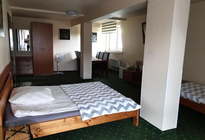 סטודיו סטנדרט עם מרפסת, Pensjonat Markus