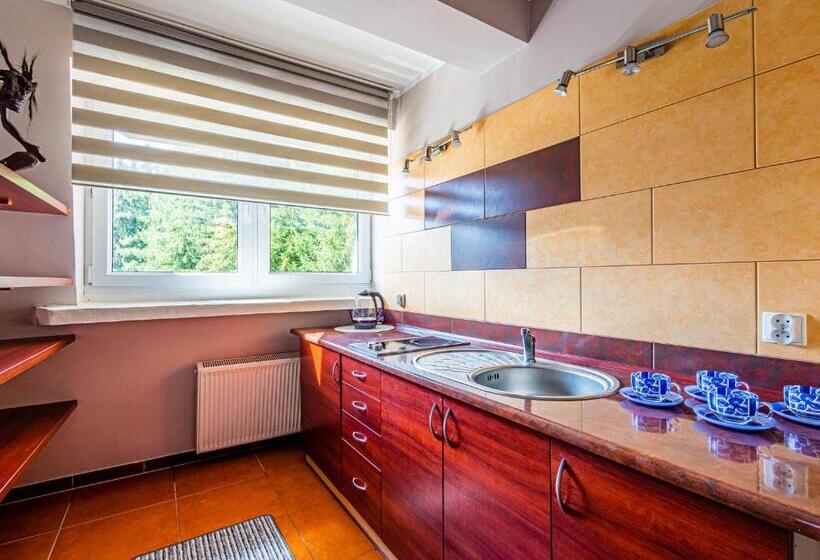 דירת שני חדרים, Pensjonat Markus