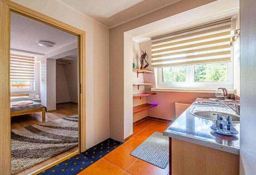 דירת שני חדרים, Pensjonat Markus