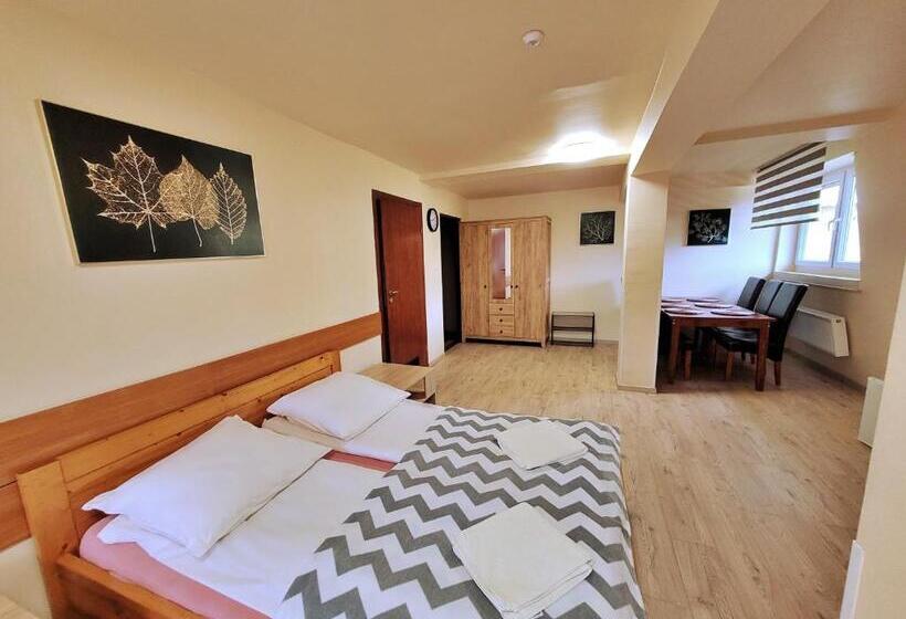 סטודיו סטנדרט עם מרפסת, Pensjonat Markus