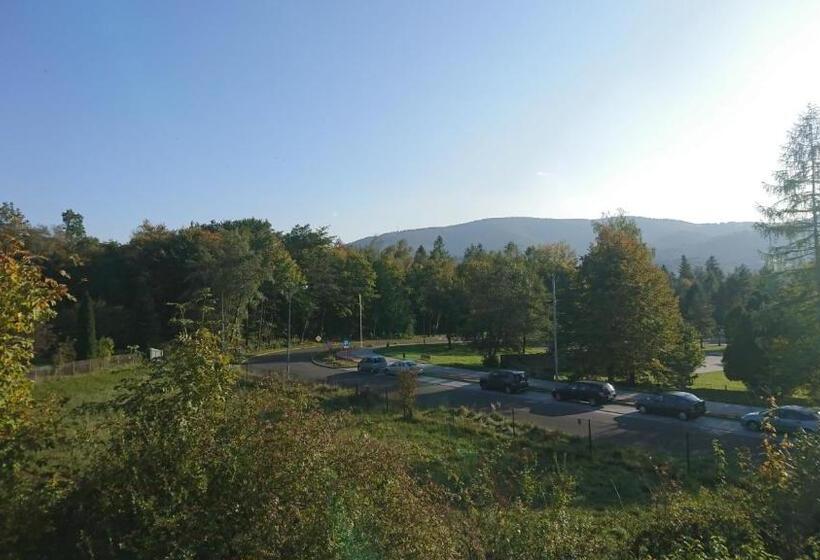 اتاق سوپریور با چشمانداز کوهستان, Willa Biały Domek