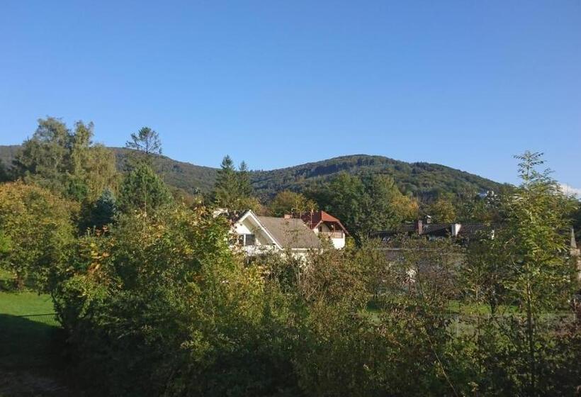 اتاق سوپریور با چشمانداز کوهستان, Willa Biały Domek