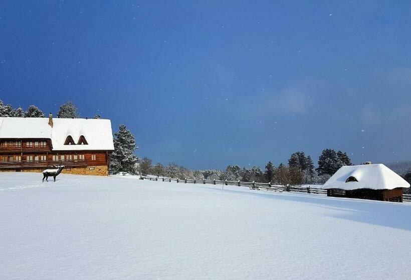 فيلا غرفة نوم واحدة, Wille Trójca