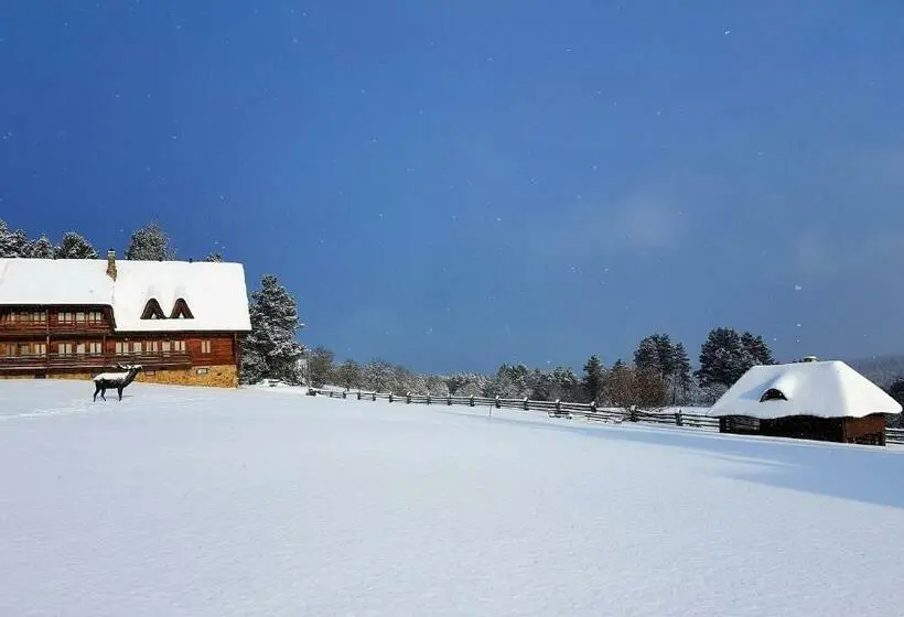 1 Yatak Odalı Villa, Wille Trójca