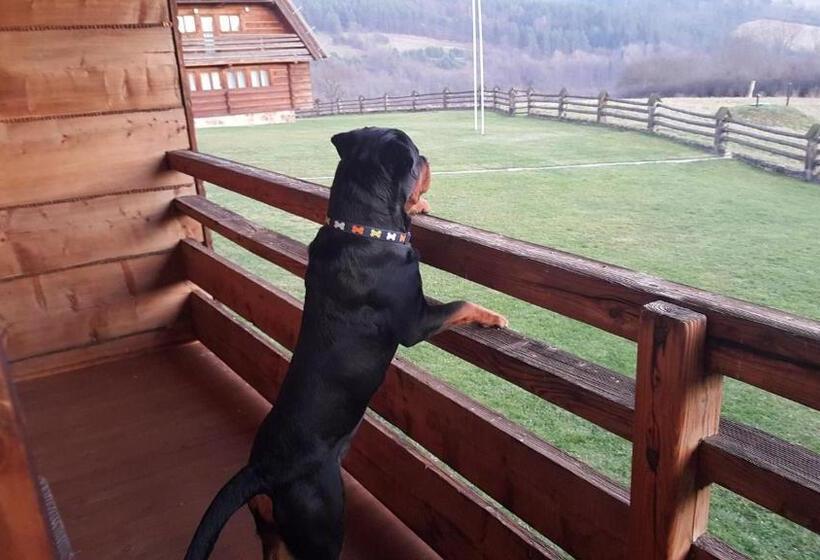 فيلا غرفة نوم واحدة, Wille Trójca