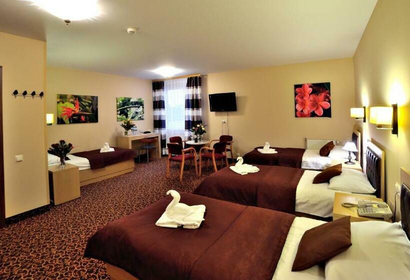 Четырехместный Номер Стандарт, Partner