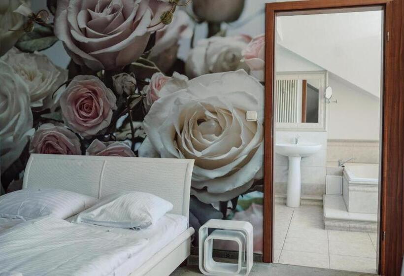 غرفة سوبيريور فردية, Polonez W Rymaniu