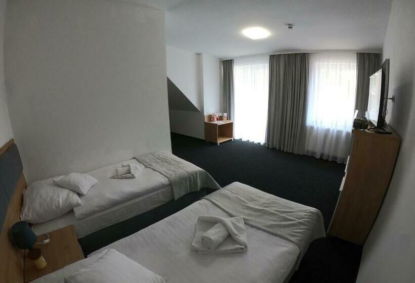 デラックストリプルルーム, Tanzanit