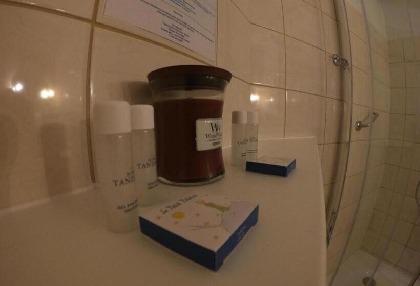 スタンダードシングルルーム, Tanzanit