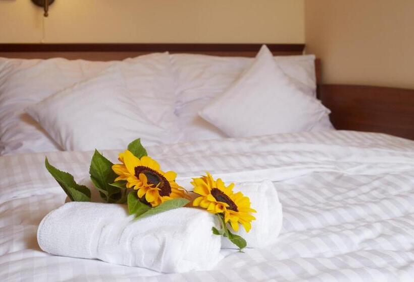 スタンダードシングルルーム, Tanzanit