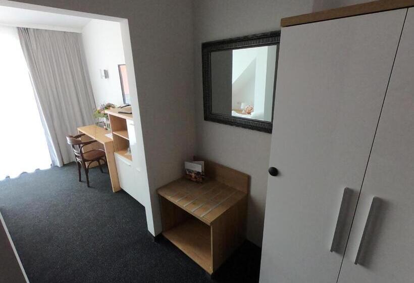 シングルデラックスルーム, Tanzanit