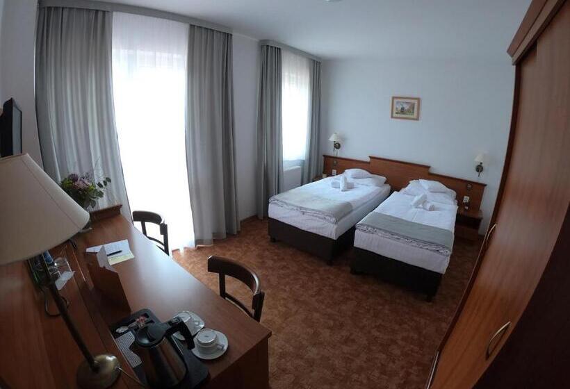 スタンダードルーム, Tanzanit