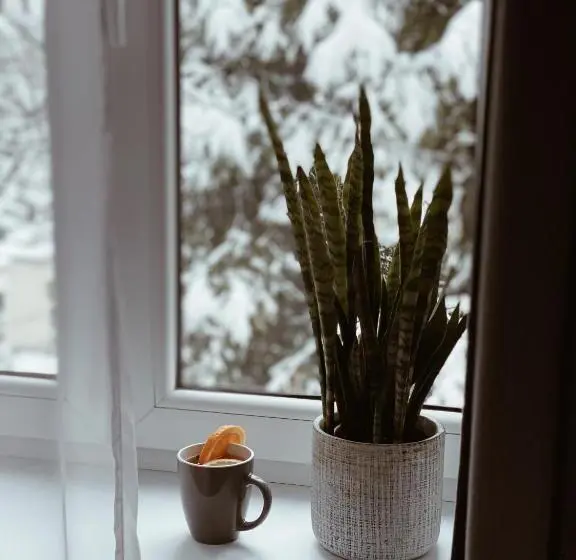 スタンダードシングルルーム, Dworek Zakopane