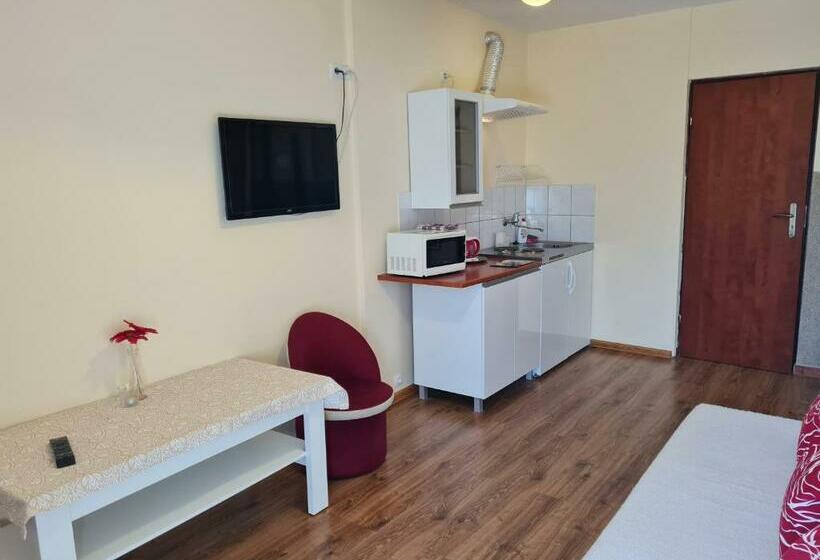 스탠다드 발코니 스튜디오, Willa Storczyk