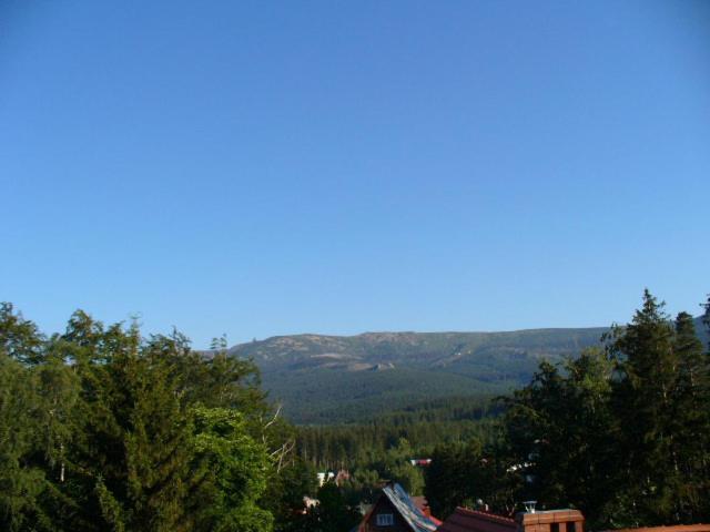 스탠다드 발코니 스튜디오, Willa Storczyk