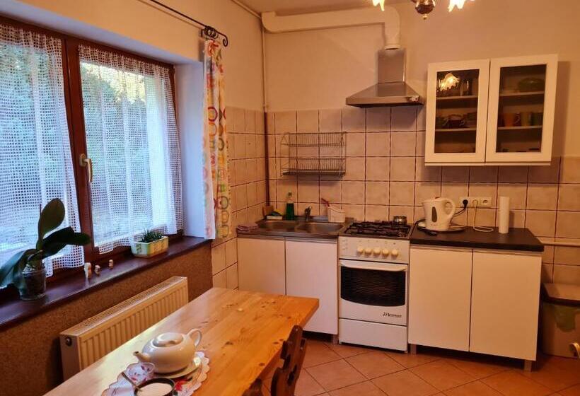 스탠다드 룸, Willa Storczyk