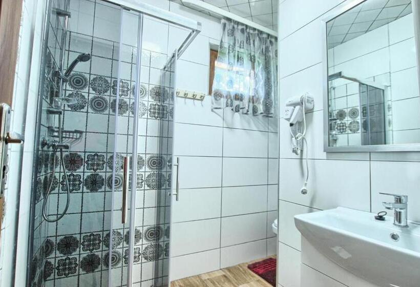 استودیوی استاندارد, Willa Zakobystra