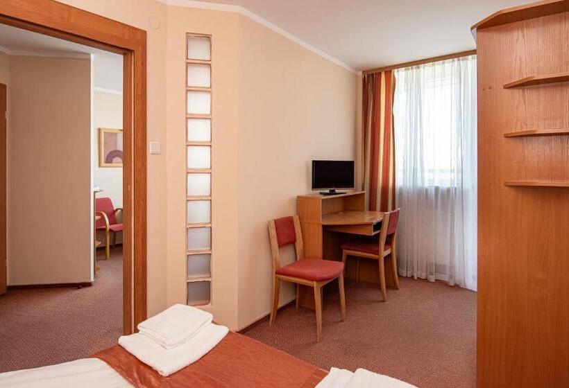 סטודיו סטנדרט עם מרפסת, Ziemowit