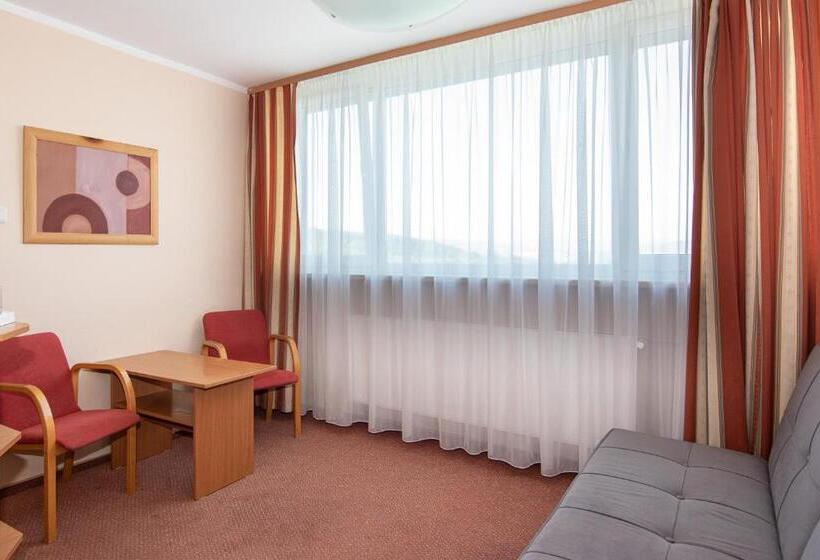 סטודיו סטנדרט עם מרפסת, Ziemowit