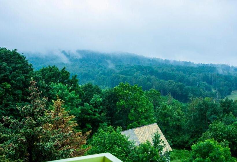 סטודיו סטנדרט עם מרפסת, Ziemowit