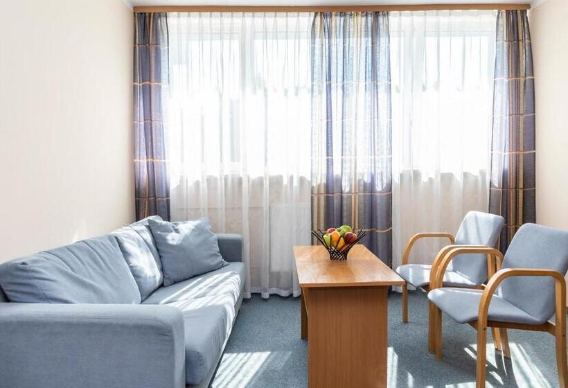 סטודיו סטנדרט עם מרפסת, Ziemowit