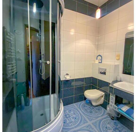 غرفة قياسية, Kaktusik