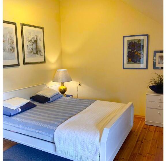 غرفة قياسية, Kaktusik