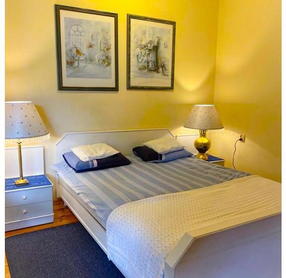 غرفة قياسية, Kaktusik